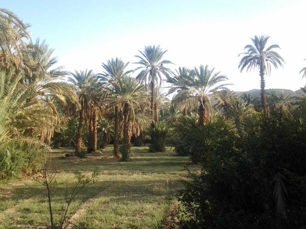 Bed and Breakfast Kasbah Itrane Tamnougalt Экстерьер фото