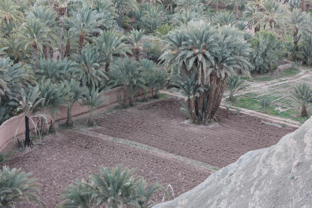 Bed and Breakfast Kasbah Itrane Tamnougalt Экстерьер фото