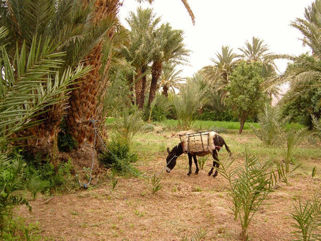 Bed and Breakfast Kasbah Itrane Tamnougalt Экстерьер фото